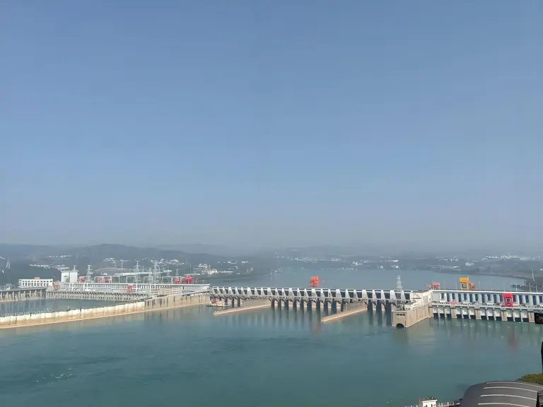 三峡大坝蓄水超20年，里面最大的鱼有多大？