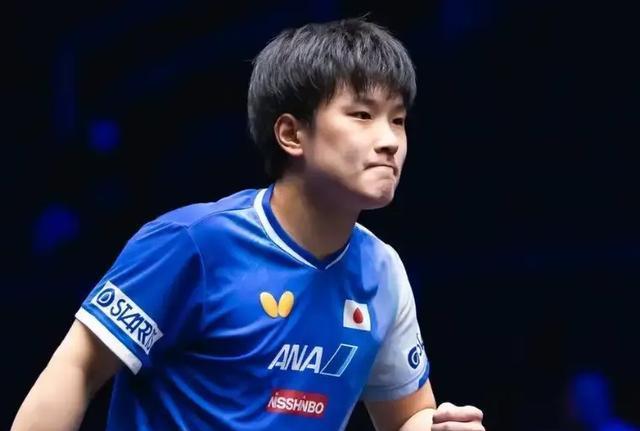 WTT横滨赛：劲敌大获全胜！张本智和打疯了，3-0横扫瑞典名将