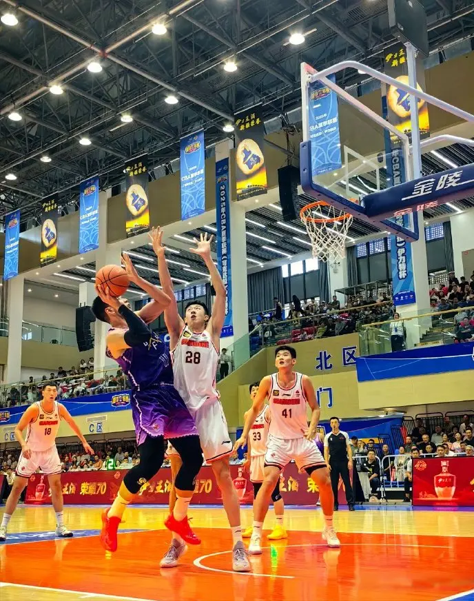 狂赢36分！杜锋不给张庆鹏留情面，广东2连胜，小将17+12太优秀了
