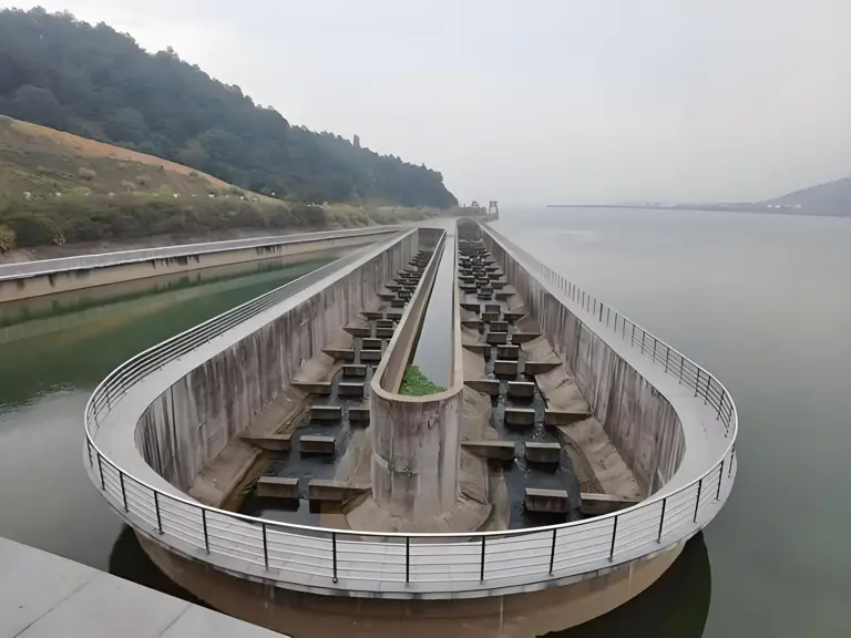 三峡大坝蓄水超20年，里面最大的鱼有多大？