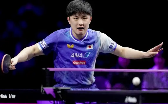 日本网友热议张本不满王皓：过于敏感神经质 盖头挑衅在先 太情绪化