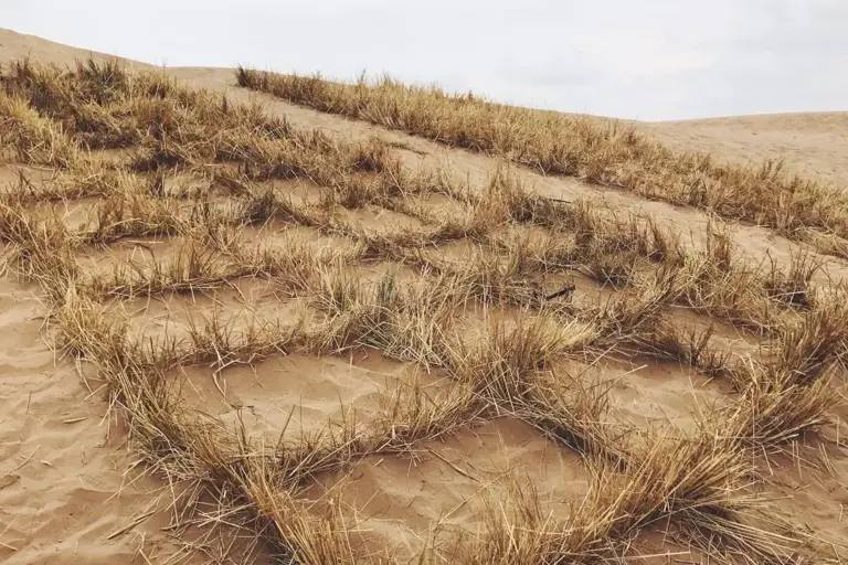 3046公里！把塔克拉玛干沙漠锁边，就能让沙漠变绿洲吗？