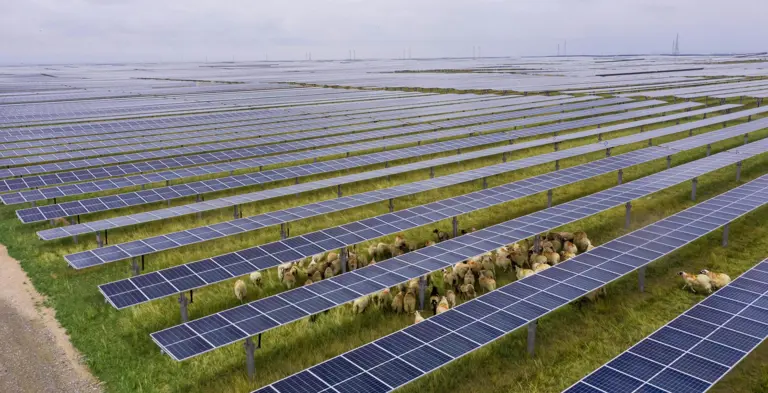 3046公里！把塔克拉玛干沙漠锁边，就能让沙漠变绿洲吗？