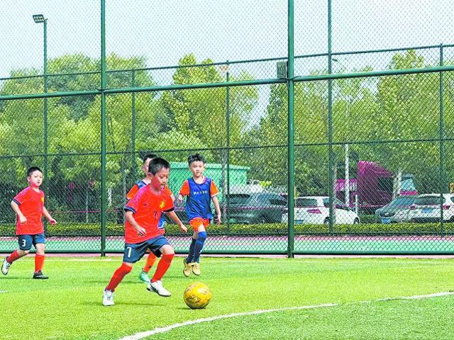 41支队伍、500余名小球员！菏泽市青少年五人制足球赛举行