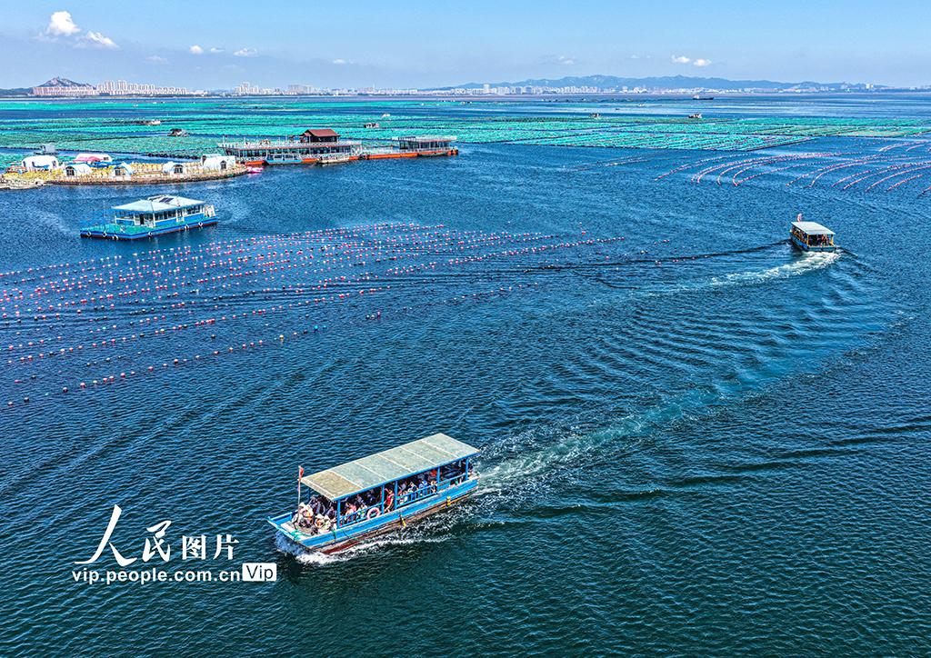 山东荣成：海洋牧场也能玩