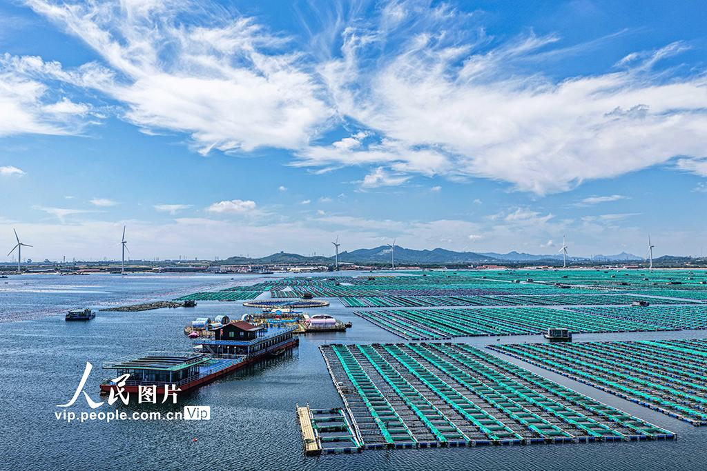 山东荣成：海洋牧场也能玩