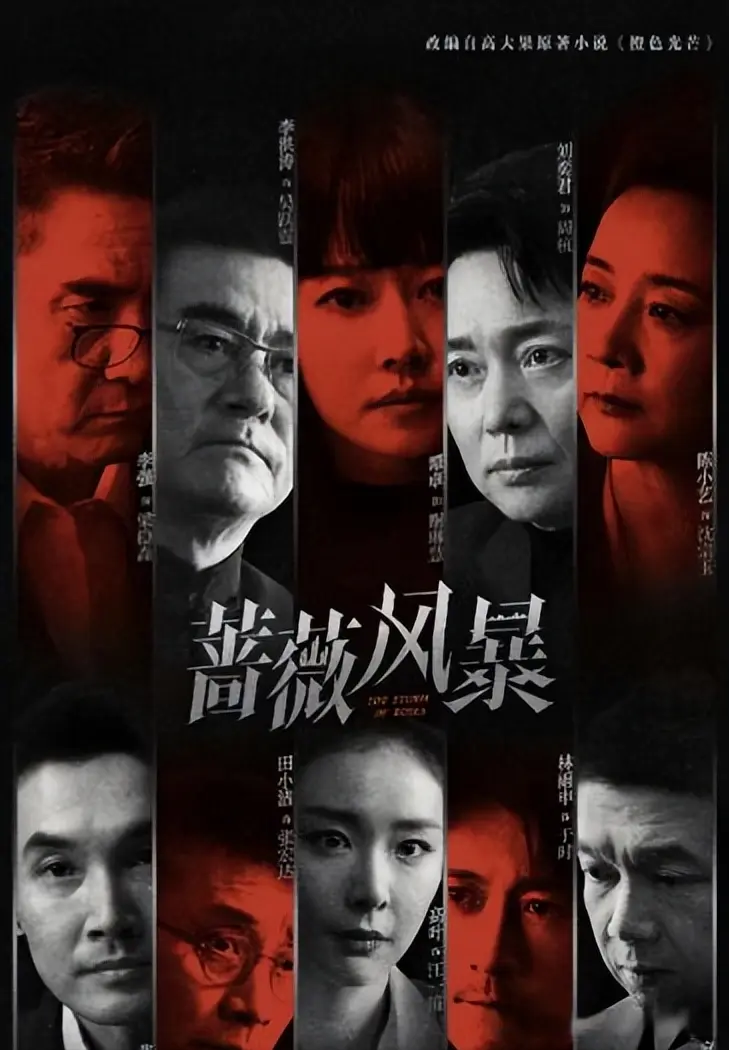 收视率断层第一！《蔷薇风暴》无流量却爆火，凭什么征服观众？