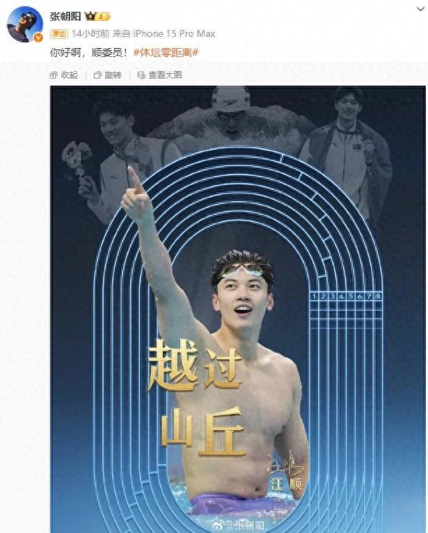 奥运冠军汪顺，有新身份