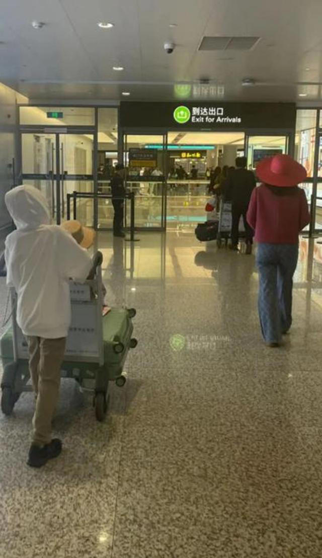 杜江一家四口走机场，和嗯哼推5个行李箱，霍思燕和女儿只管享福