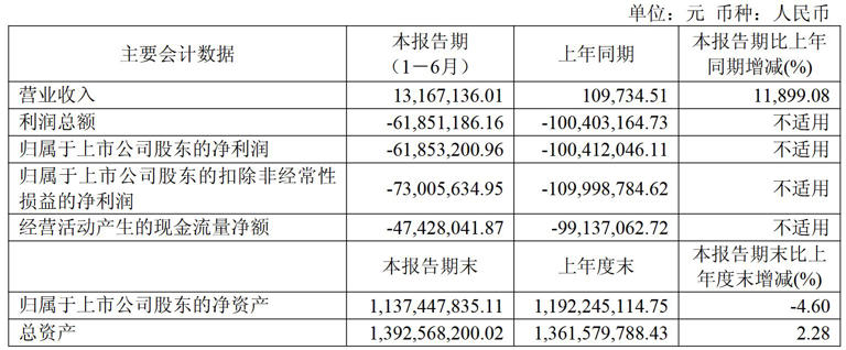 首款上市新药月销上千万元！海创药业上半年仍亏超6000万元，拟暂停一创新药研发项目