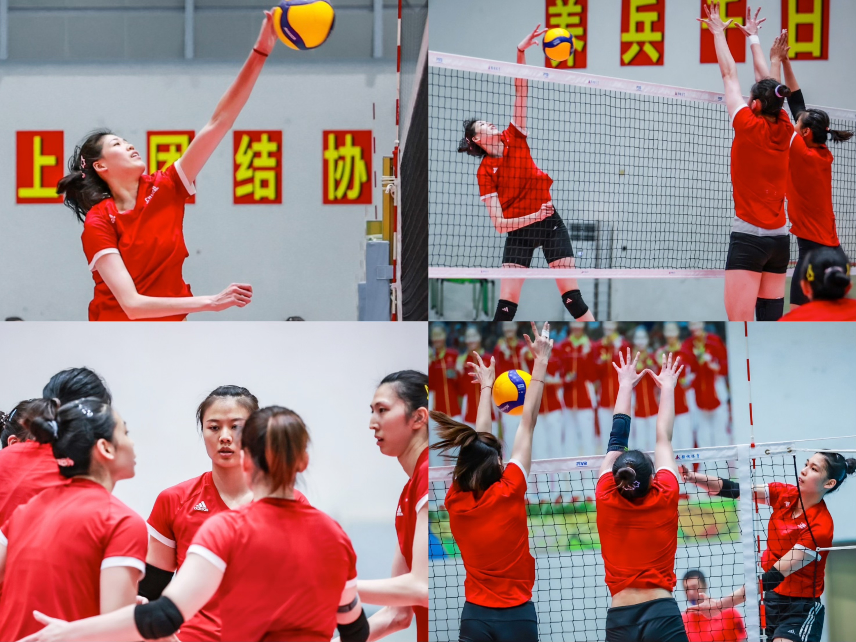 中国女排冲刺世锦赛！李盈莹恢复神速 高意被赵勇点名 全队战术升级