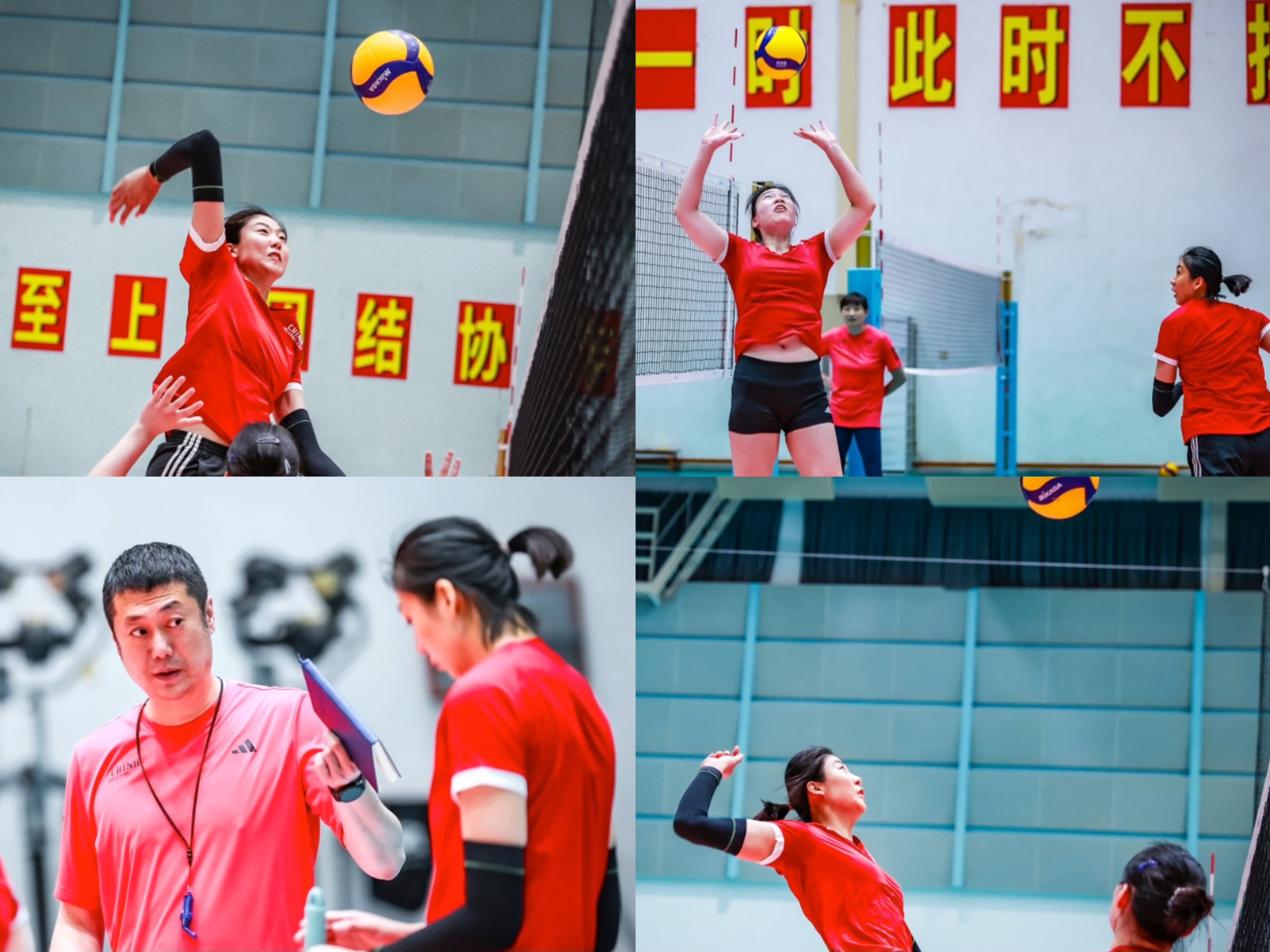 中国女排冲刺世锦赛！李盈莹恢复神速 高意被赵勇点名 全队战术升级