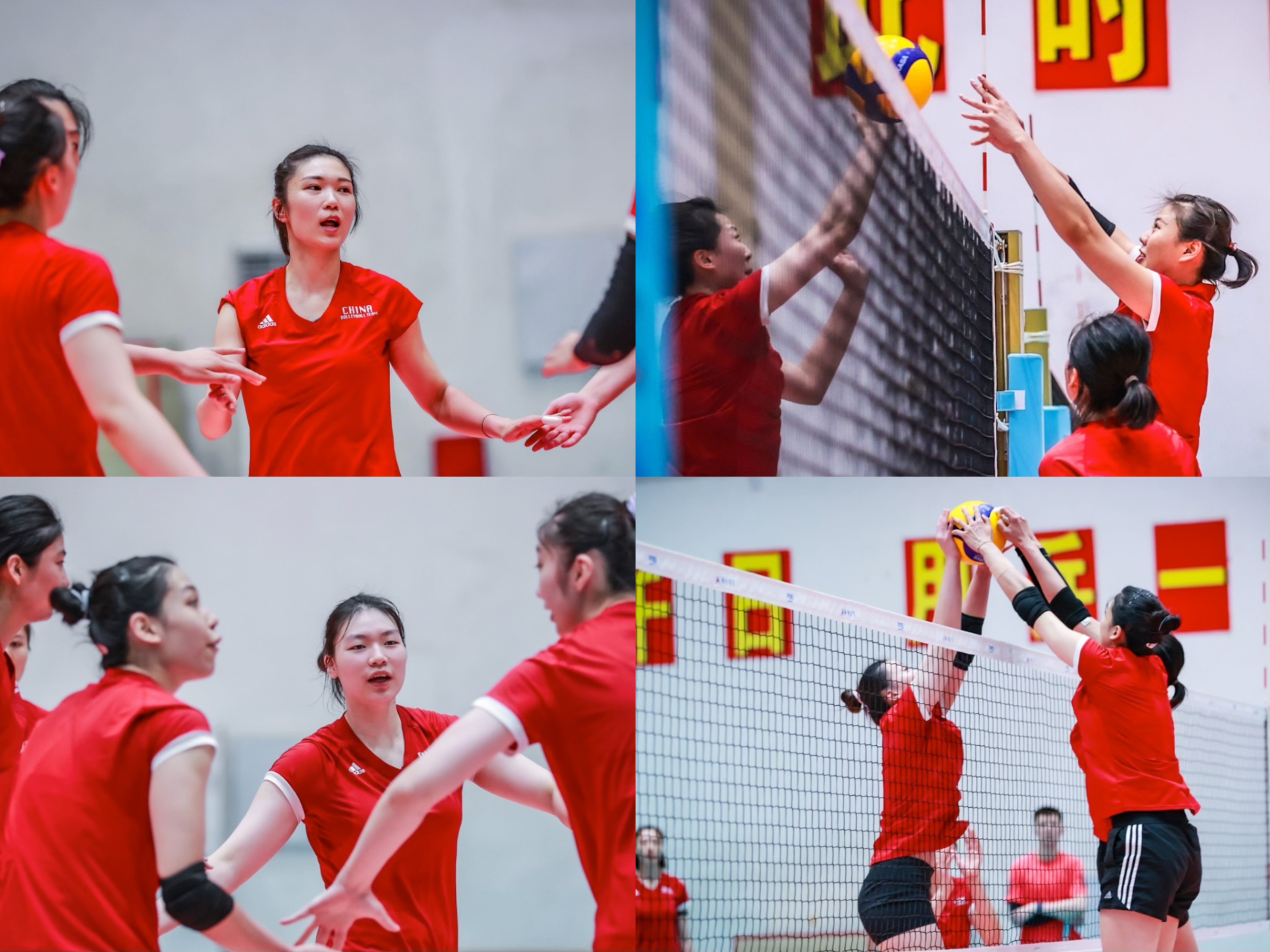 中国女排冲刺世锦赛！李盈莹恢复神速 高意被赵勇点名 全队战术升级