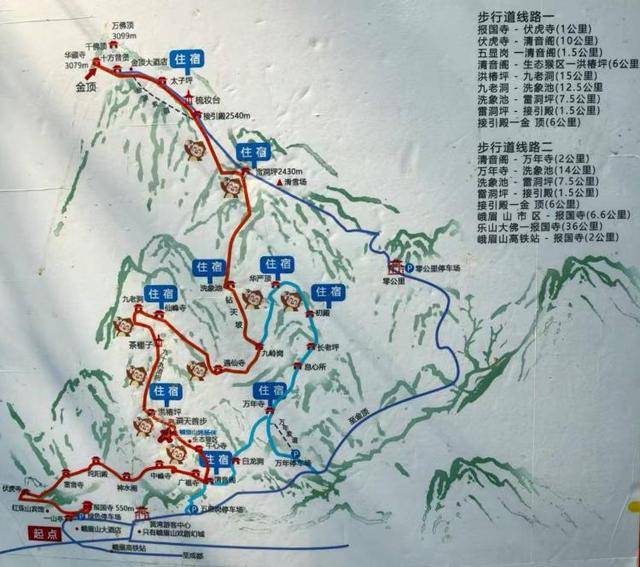 超260斤游客豪掷2.21万，9名轿夫抬上峨眉山，创轿夫32年接单新高！