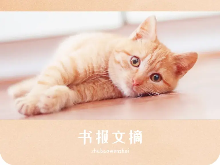 处暑：止躁、耕耘、爱自己