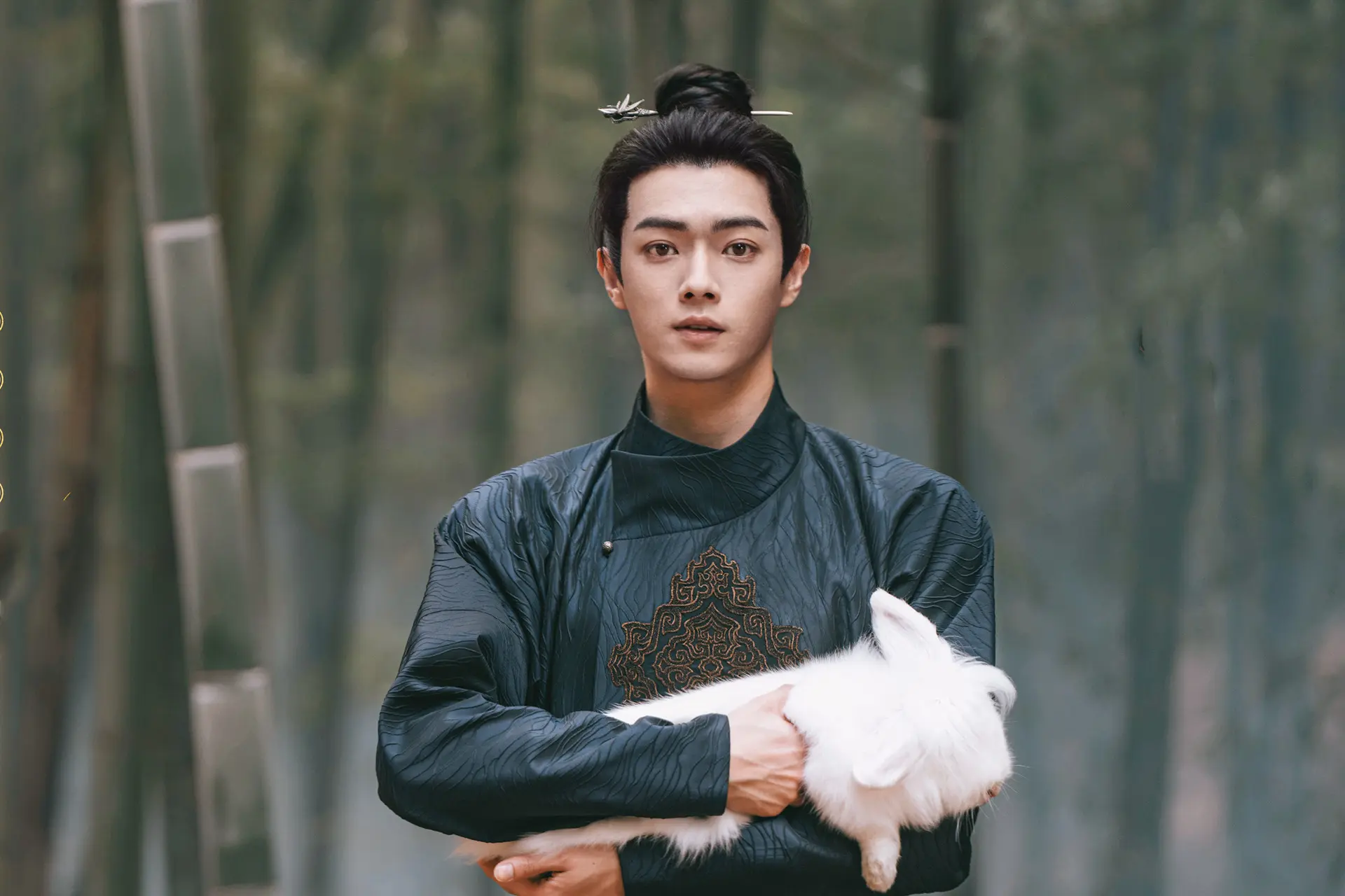 《子夜归》对比《无忧渡》：猫妖遇上捉妖师，白天恋爱，夜晚捉妖