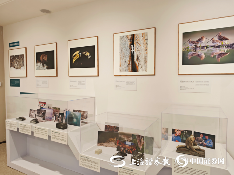 实物展区 上证报记者 杨翔菲 摄