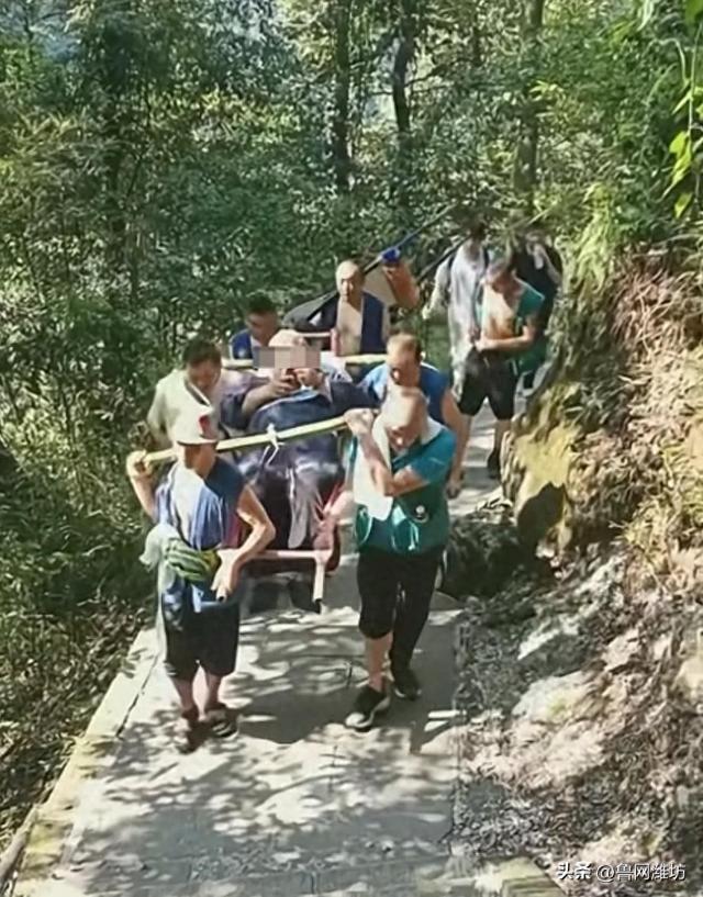 263斤男子花2.21万坐滑竿上峨眉山！9人轮流抬超10小时，轿夫：从业32年来最大一单
