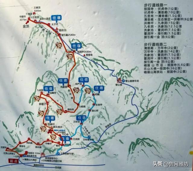 263斤男子花2.21万坐滑竿上峨眉山！9人轮流抬超10小时，轿夫：从业32年来最大一单