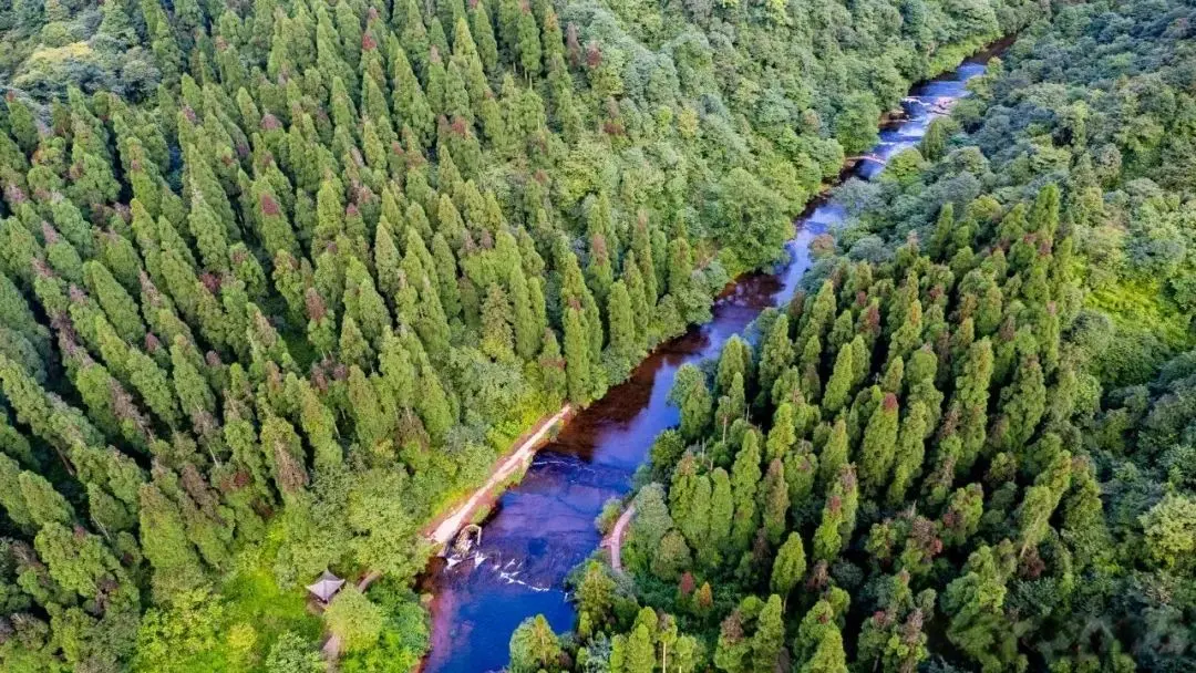 2025第三届中国国际象棋棋王赛在邛崃举行