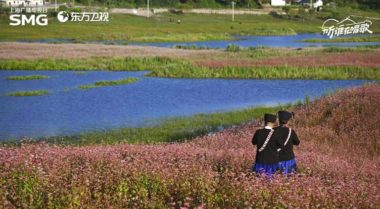 《听，谁在唱歌》东方卫视首播，三重高级，回归音乐最本来的样貌