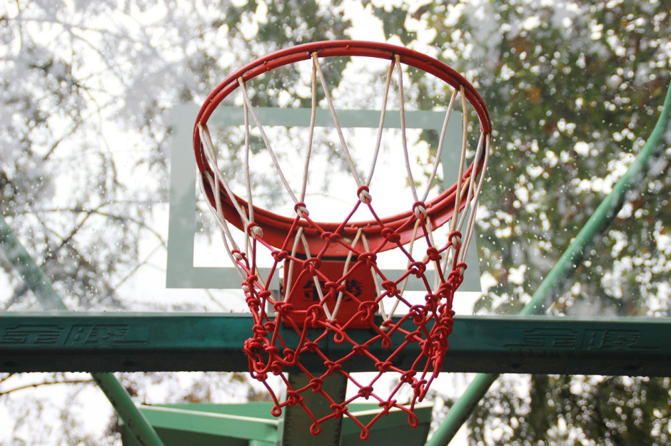 CBA5大预注册：杨瀚森曾凡博打NBA 余嘉豪去西班牙崔永熙回CBA