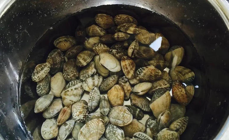 花甲洗不净一口沙子毁兴致，3招让泥沙全吐光，鲜美又省心