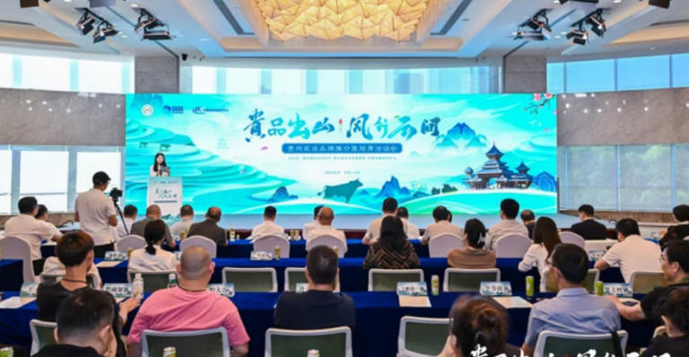 会议现场。.jpg