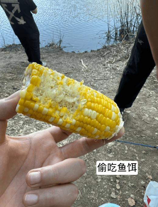 Labor Day不上学！王俊杰更新个人社媒晒近期动态组图