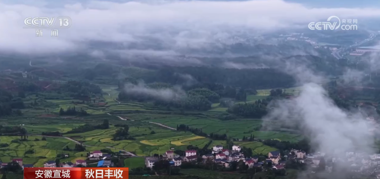 特色产业绘就乡村振兴新图景 希望的田野上一派秋日好“丰”景