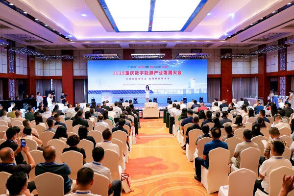 活动现场。主办方供图