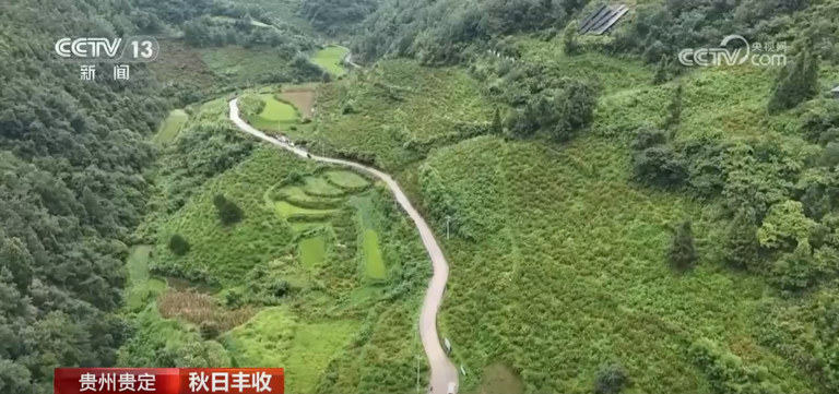 特色产业绘就乡村振兴新图景 希望的田野上一派秋日好“丰”景