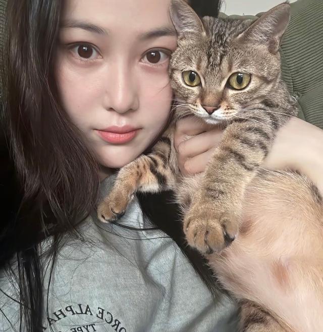 张馨予晒家中2猫1狗，何捷穿大裤衩出镜，给小猫梳毛非常温柔