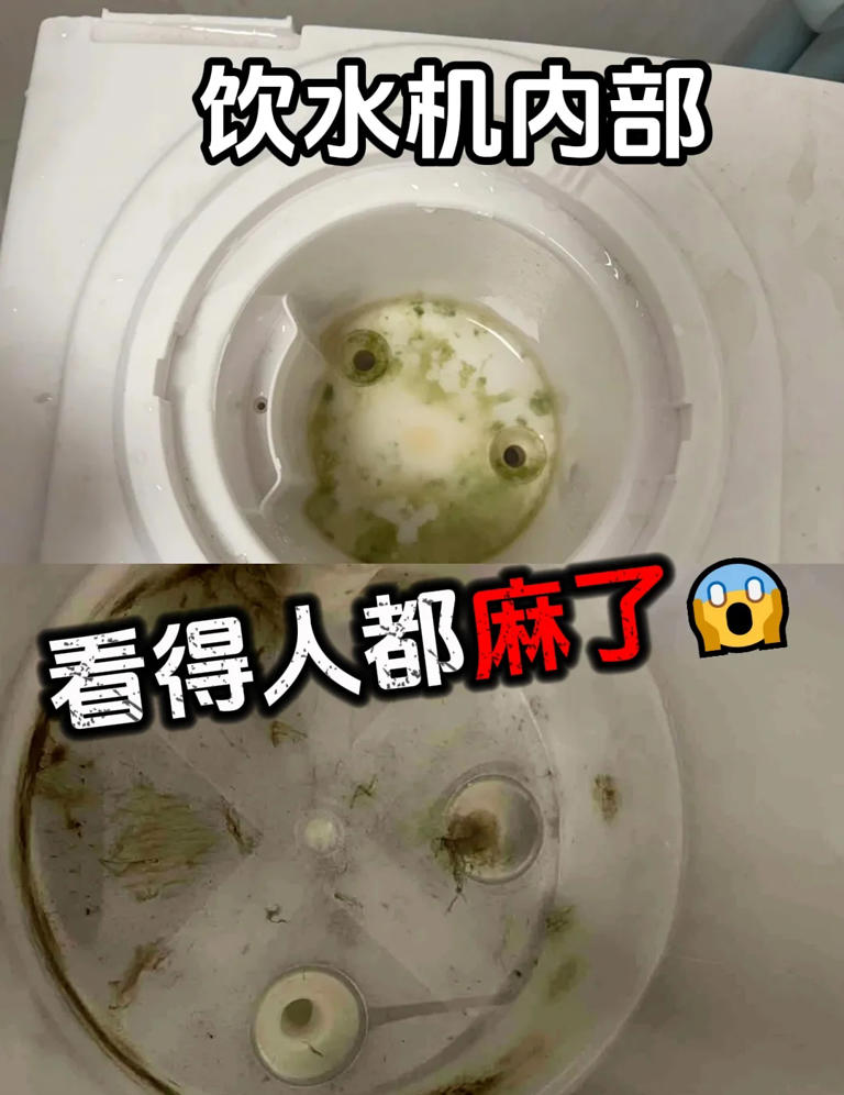 不是胡说，这5种电器，普通家庭“根本没必要买”，谁买谁后悔