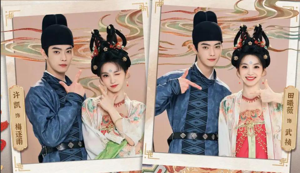 《子夜归》大结局：梅逐雨替孕、武祯弑夫，这剧疯了却封神了