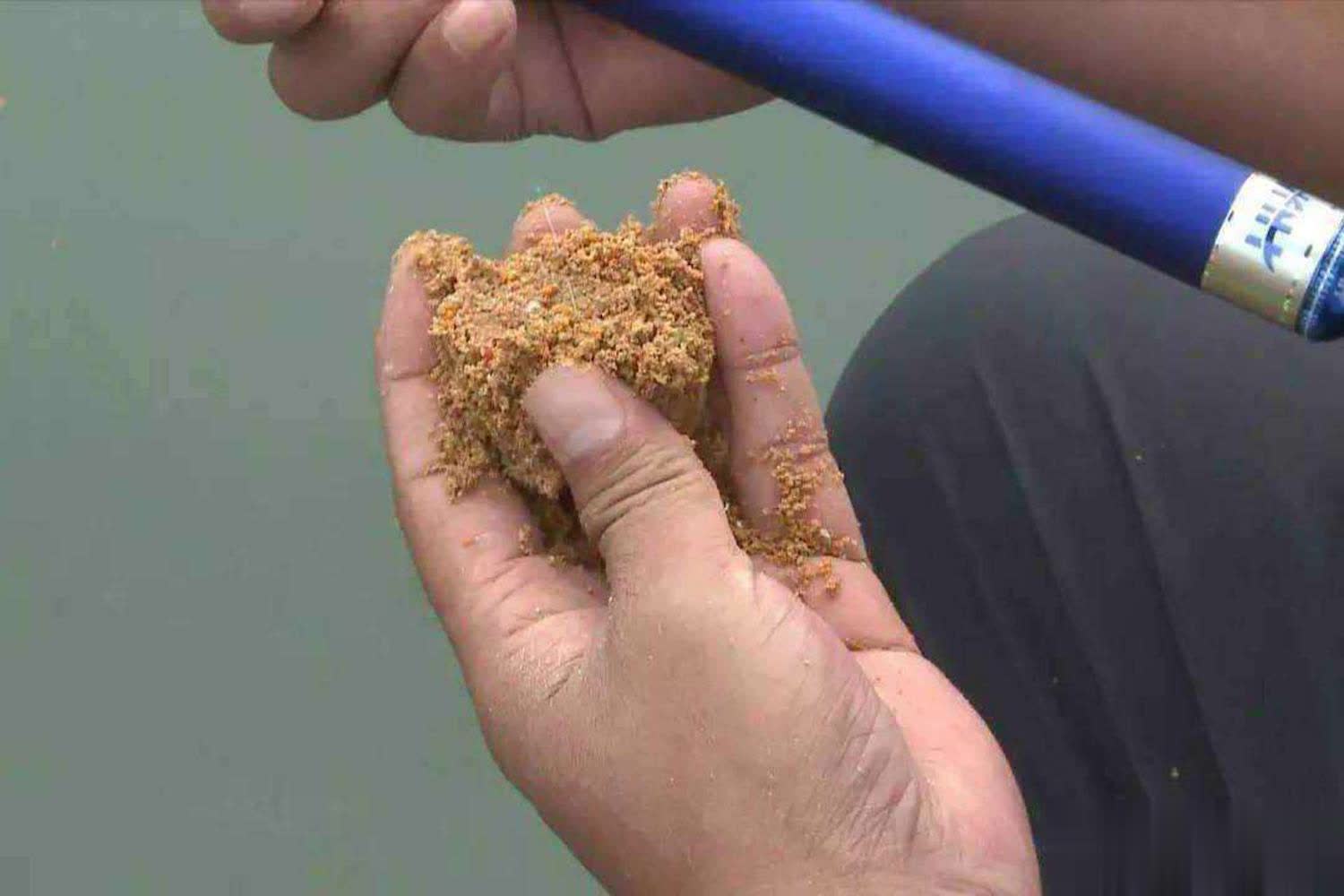 在鲤鱼黑坑提前打窝的4个方法