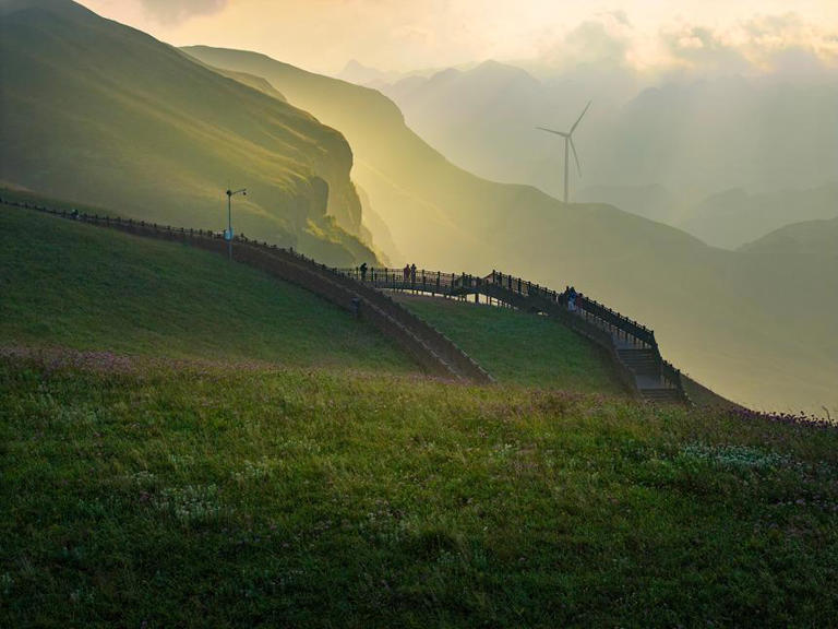 贵州赫章：韭菜花开引客来