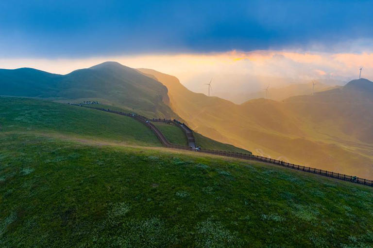 贵州赫章：韭菜花开引客来