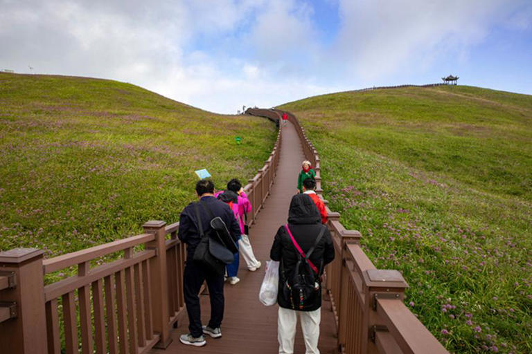 贵州赫章：韭菜花开引客来