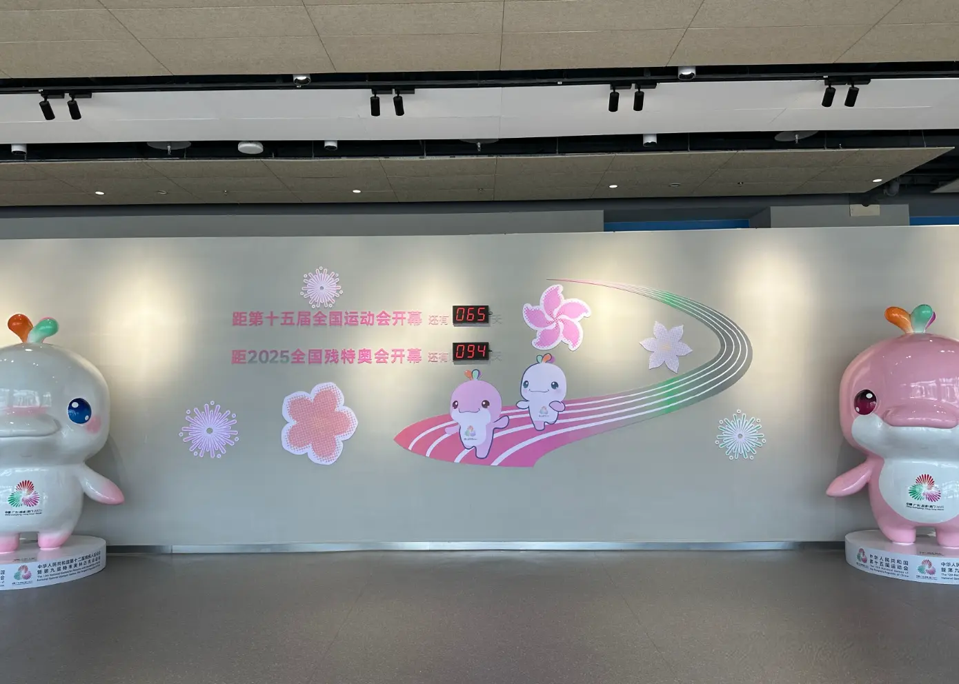 全运会女篮分组揭晓，四川上上签，广东碰上山东，4队进死亡之组