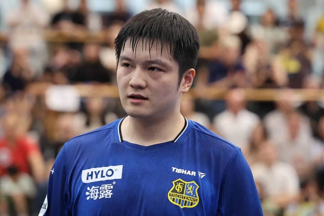 樊振东德甲再战，票价疯涨7倍；队长弗朗西斯卡陪同一日两练，前教练吴敬平鼓励