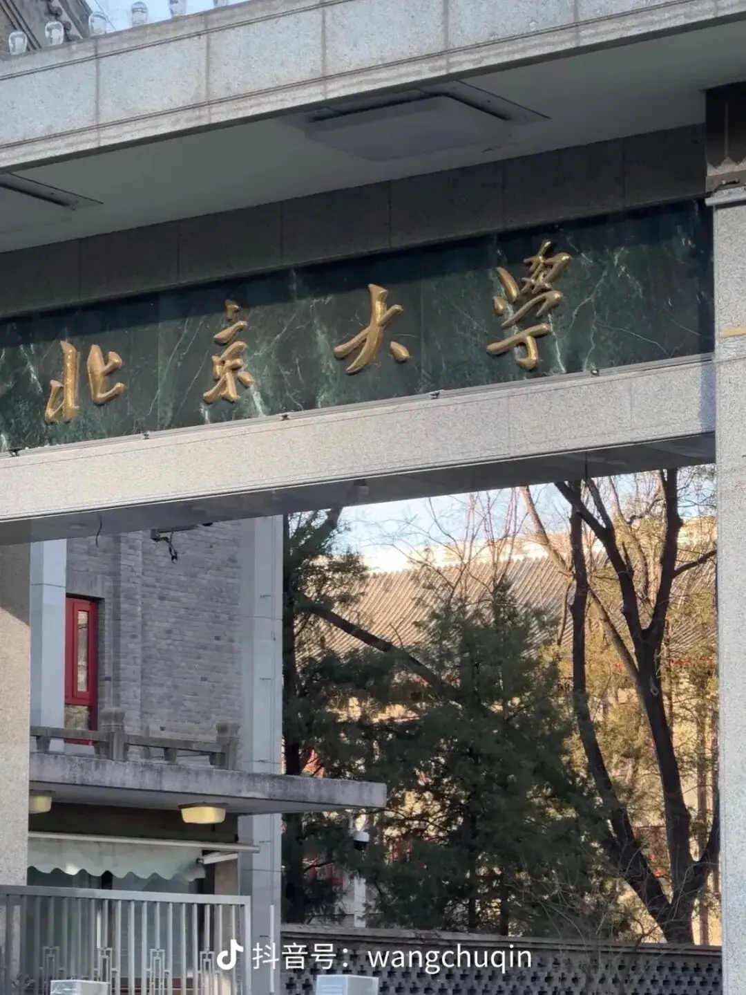 王楚钦入学北大后发文