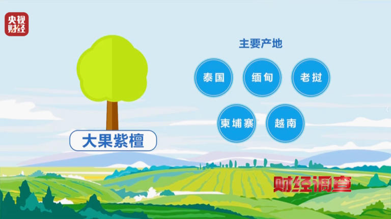 产地，假的！证书，按斤卖！曝光红木市场批量造假