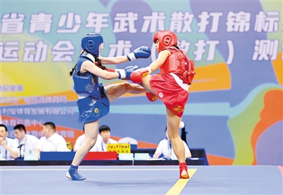 “我们对湛江办好十五运会武术散打比赛充满信心！”