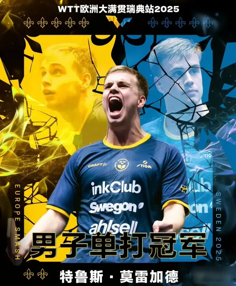 这次的瑞典大满贯，林诗栋和莫德加雷最应该感谢的人是王楚钦