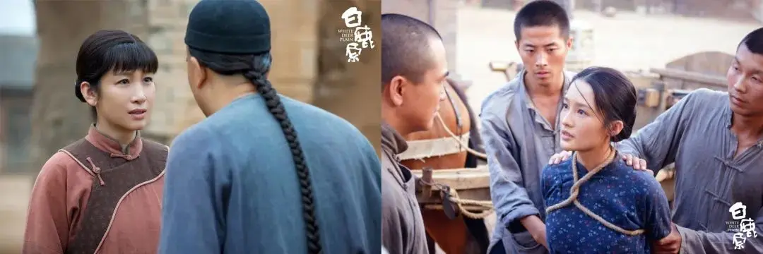 ����編���ѱ䣬IPԴͷ��������ѧ��