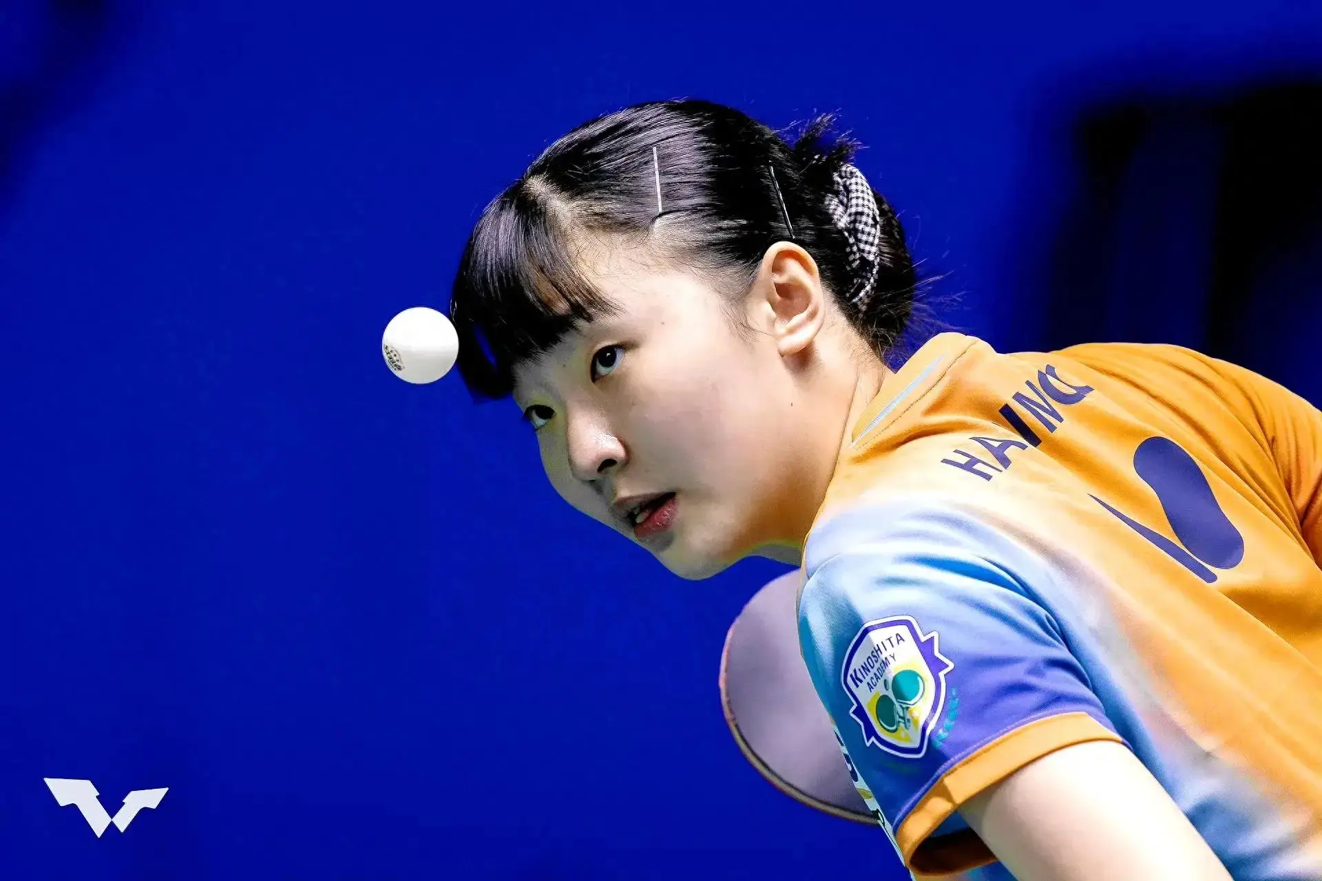 张本美和终于来了，乒超联赛第三阶段，成都高新四大对手出现