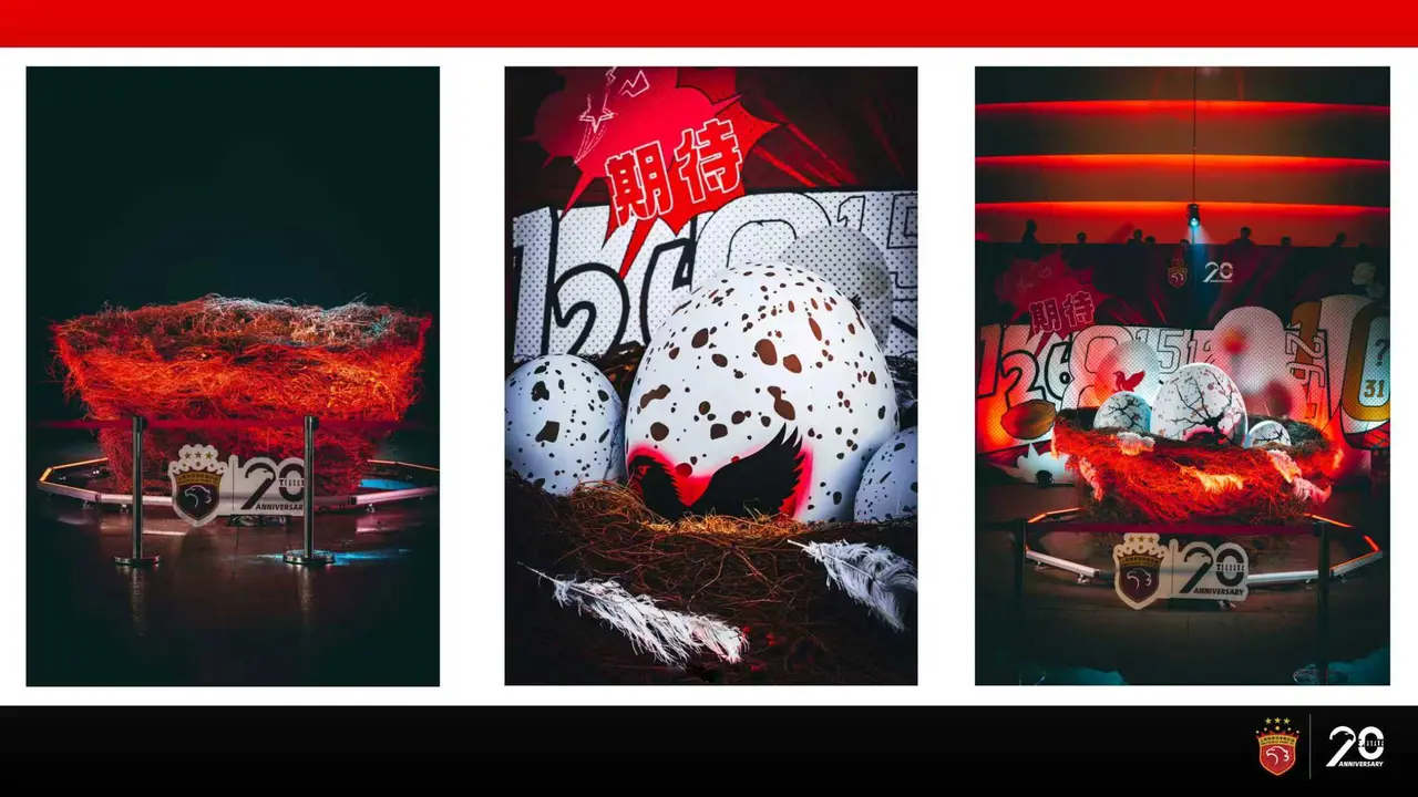 即将“破壳而出”！上海海港吉祥物定为“海东青”，近期将向公众征集名称