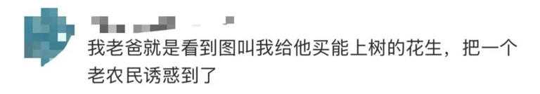 枝头挂满花生？良品铺子道歉