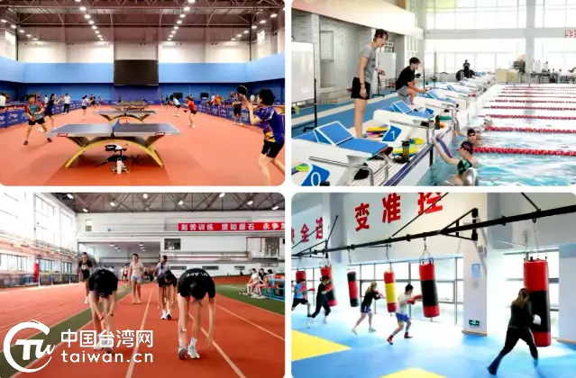 同吃、同住、同训练丨台北运动健儿今夏“移训”申城